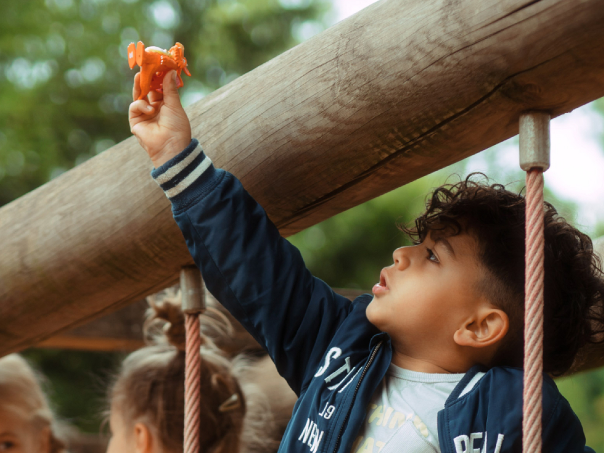Tonies - Julia Donaldson Zog Engelse Geluidsfiguur