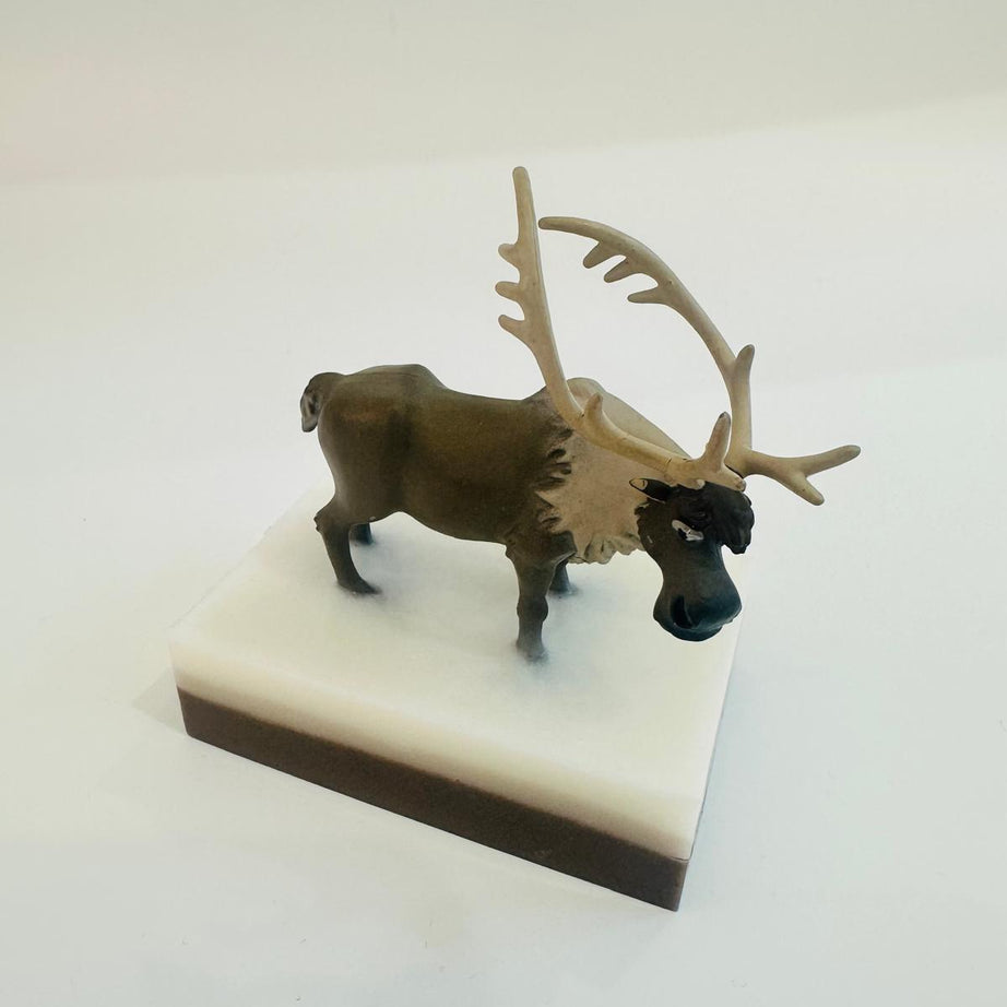 Baveal – Kinderen Bosavontuur Vochtinbrengende Hand- en Lichaamszeep