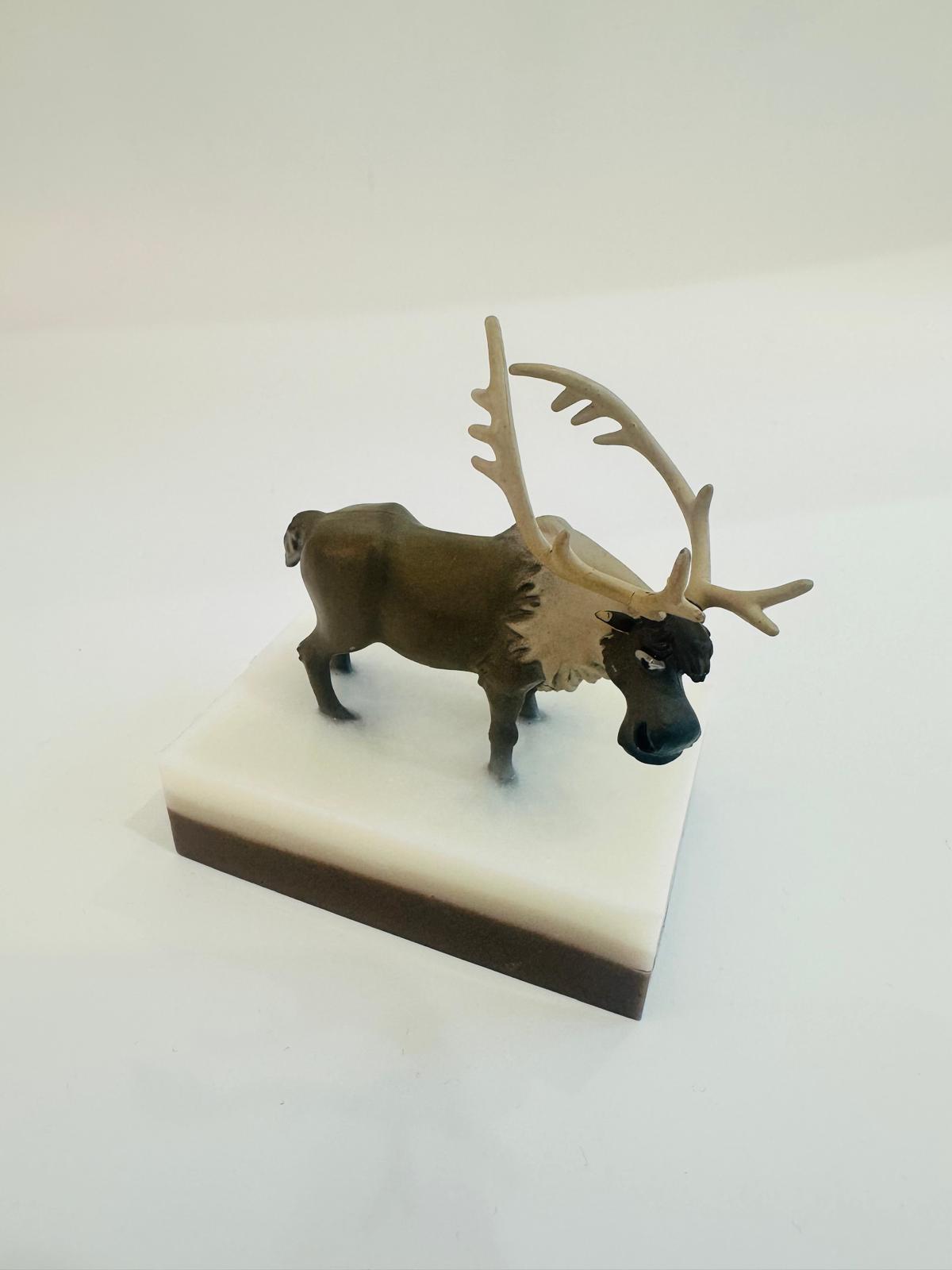 Baveal – Kinderen Bosavontuur Vochtinbrengende Hand- en Lichaamszeep