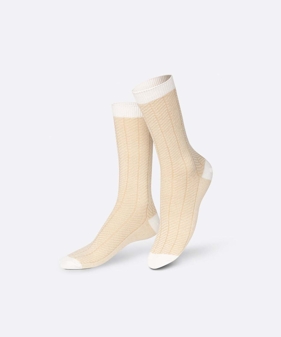 Eat My Socks - Yetişkin Camembert Peyniri Çorap - Dinossi