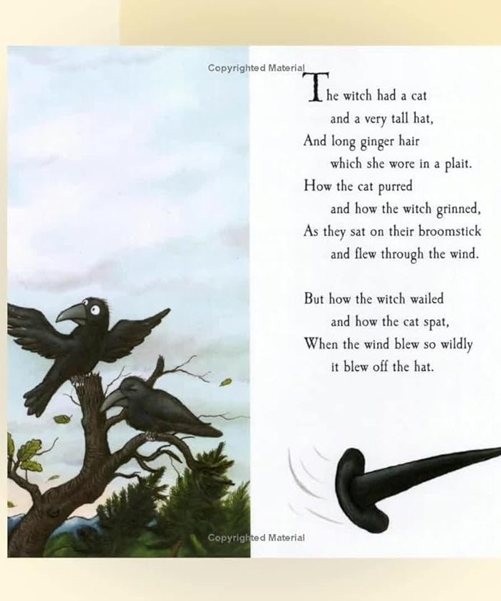 Pan Macmillan - Julia Donaldson en Axel Scheffler Room on the Broom Engels Verhalenboek