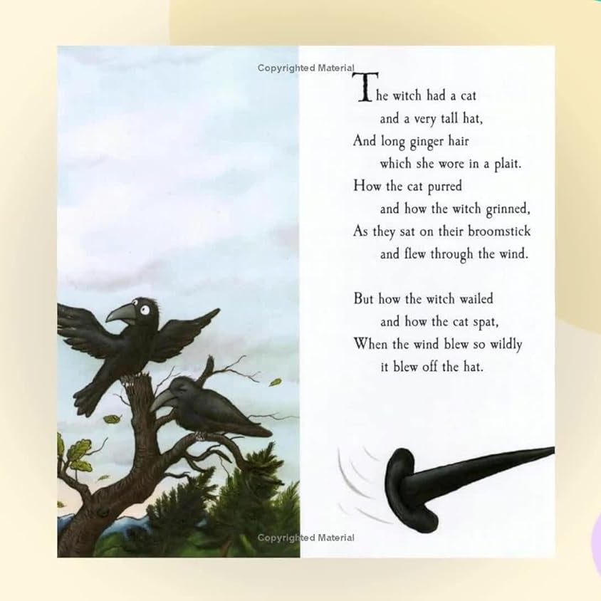 Pan Macmillan - Julia Donaldson en Axel Scheffler Room on the Broom Engels Verhalenboek