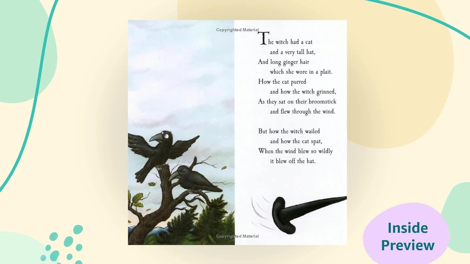 Pan Macmillan - Julia Donaldson en Axel Scheffler Room on the Broom Engels Verhalenboek