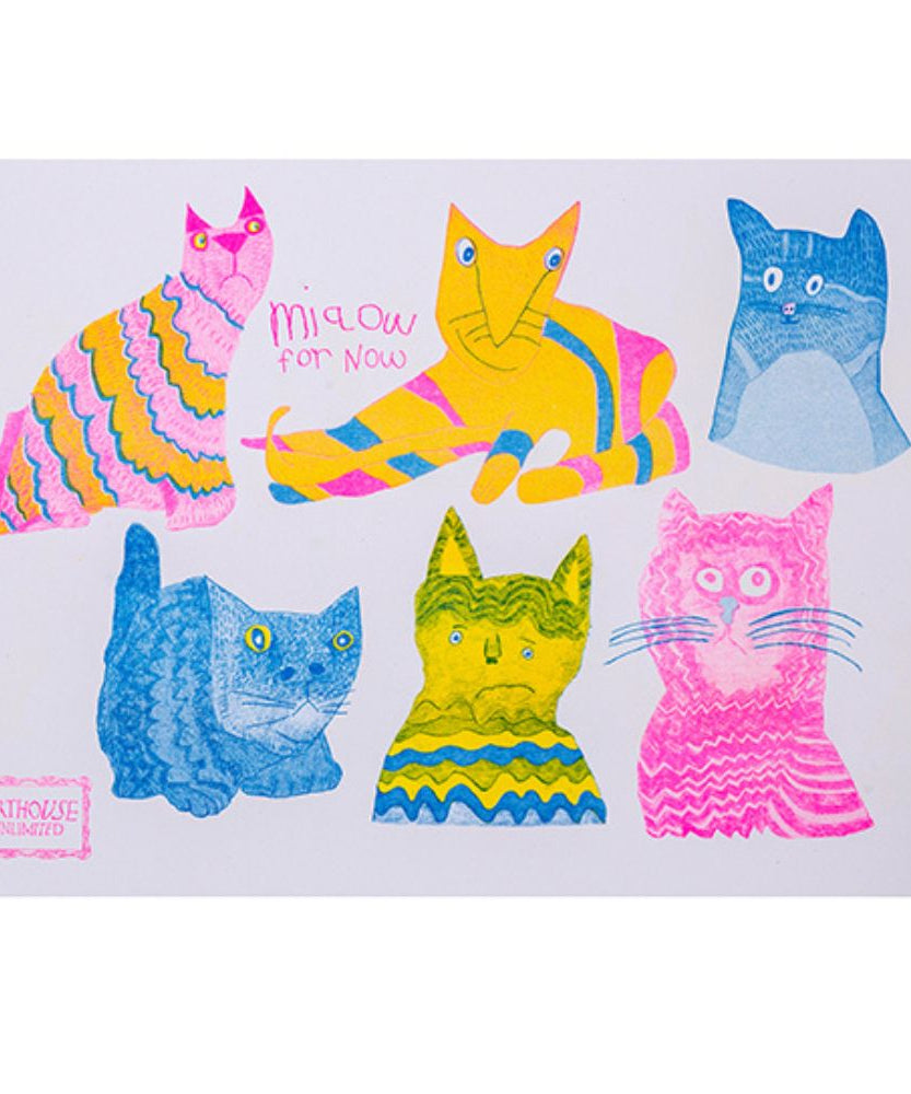 Portico Designs - Arthouse Unlimited Miaow A5 Stevige Omslag Dagboek