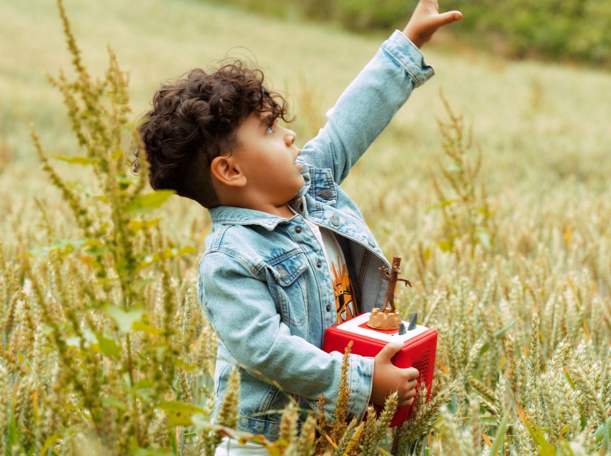 Tonies - Julia Donaldson Stick Man Engelse Geluidsfiguur