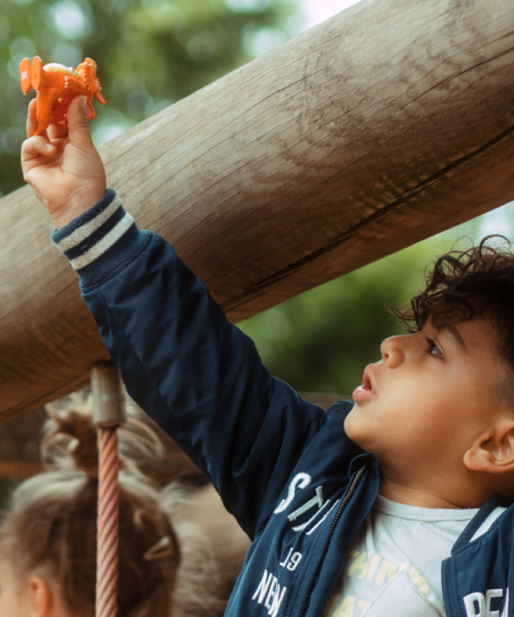 Tonies - Julia Donaldson Zog Engelse Geluidsfiguur